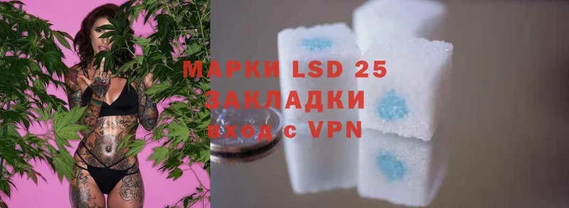 LSD-25 экстази ecstasy  Нолинск 